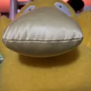 y11 yの画像