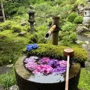 にこの画像