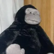 りりの画像