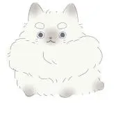 まめこの画像