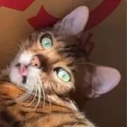 うの画像