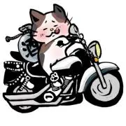 こんたの画像