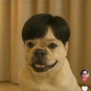 キョウの画像
