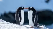 tktkの画像