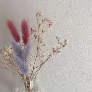 Maririnの画像