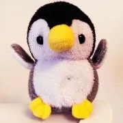 ぺんぺんの画像
