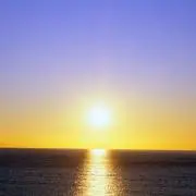 亀の画像
