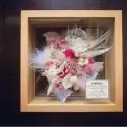 めぐめぐの画像