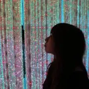 むらさきおばけの画像
