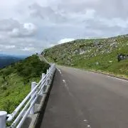 みつ