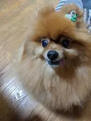 ココロの画像