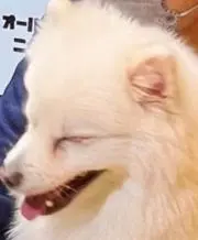 &の画像
