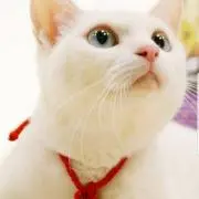 hapinet☆★by TAMA
