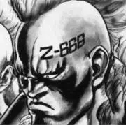Z-666