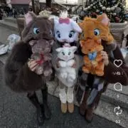 サリーの画像