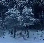 sghjamtpの画像