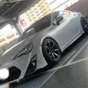 ゼンロクの画像