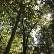 uni⭐︎ プロフ必読の画像