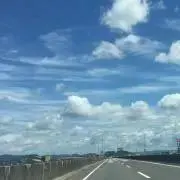 どんの画像