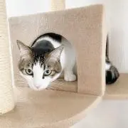★hirotoku★の画像