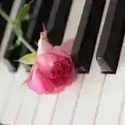 みぃの画像