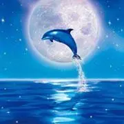 沖縄家〜SPAM宣伝部長〜の画像