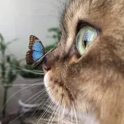 Mamiの画像