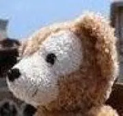 くま　プロフ必須の画像
