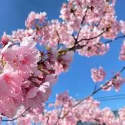 みる（プロフ必読）の画像