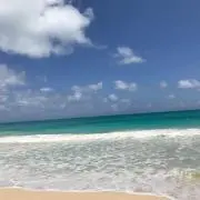 りんりんの画像