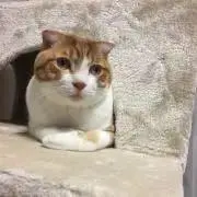 SORA(*^^*)★の画像