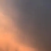まろんの画像