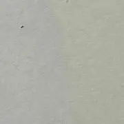 かんたの画像