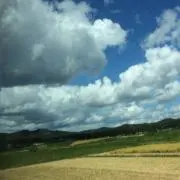 みさき