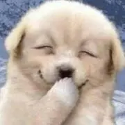 そんちんの画像