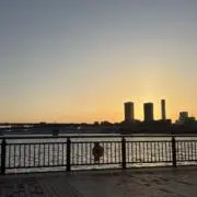 ẅの画像