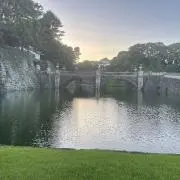 けん608の画像