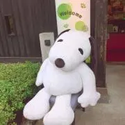 ふみの画像
