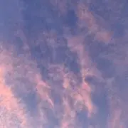FY99の画像