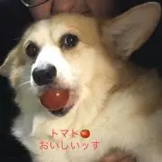 itteyosi