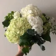 mの画像