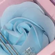 めも【匿名配送】の画像