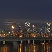 きなこ丸