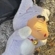ᴿ⸝⋆の画像