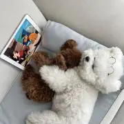 p購入前にコメント下さいプロフ必読の画像