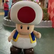 ゆき１９７１の画像