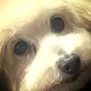 ☆り〜☆
