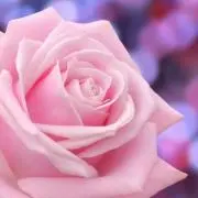 ちぃにゃ