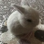 もんの画像