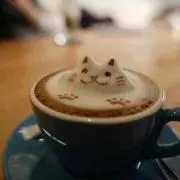 ゆー